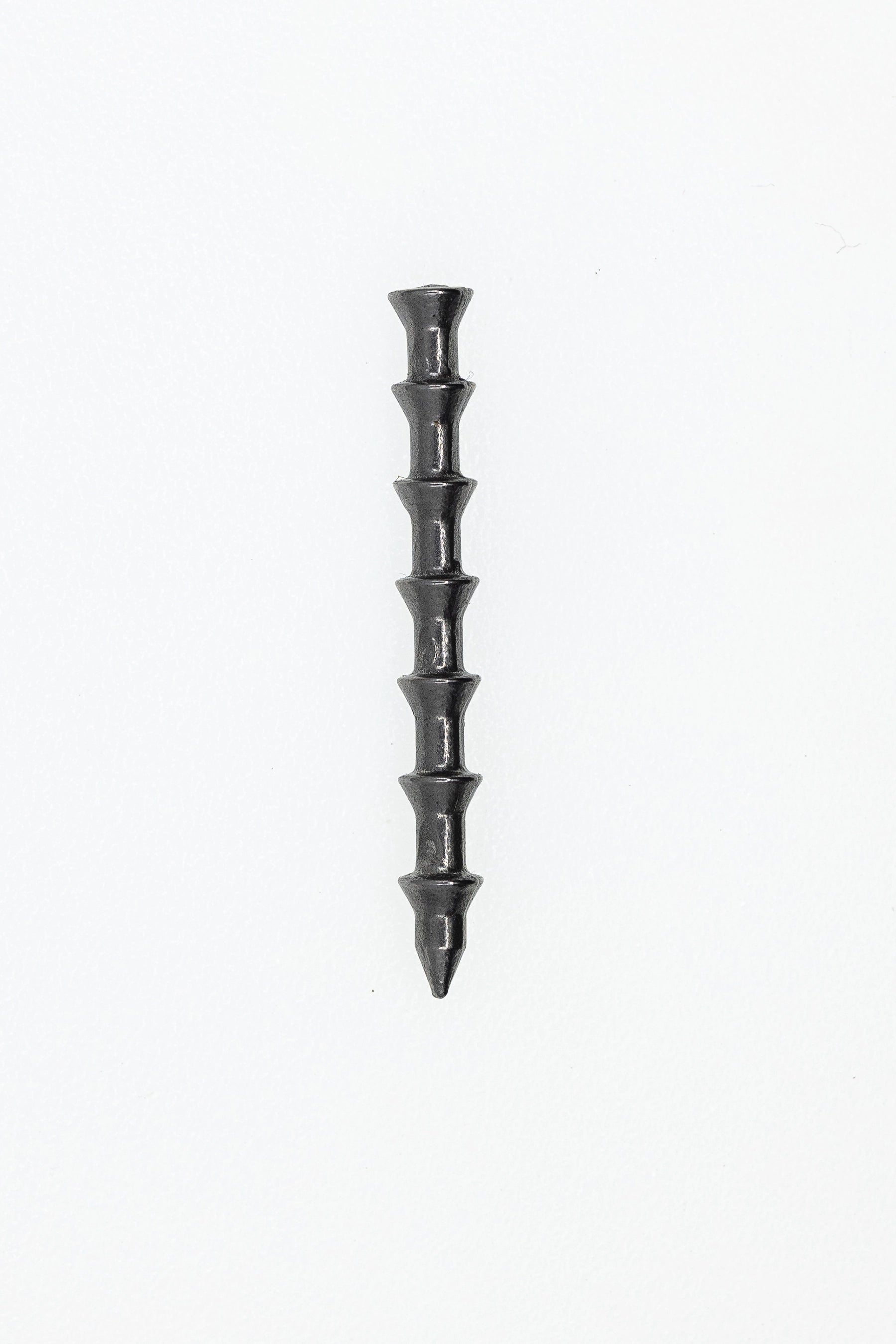 Black screw on a white background